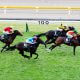 JRA【チャレンジC(G3)展望】未完の大器ソーヴァリアントVS 13冠ベビー・ジェラルディーナ! ハイレベル3歳世代の「最終兵器」が激突!