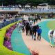 JRA 「生存者なし」WIN5ラストキャリーオーバーから1年! 波乱を演出した“3頭”が揃い踏み! 今年の主役はアドマイヤジャスタ、メイケイダイハードでもなくあの馬