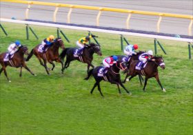 JRA【新潟記念（G3）展望】「遺恨勃発」ザダル石橋脩VS戸崎圭太！ローテーション「過酷」ショウナンバルディに余力はあるか？