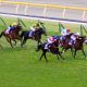 JRA新潟記念(G3)相性抜群の超良血馬に「◎」大波乱必至!? ザダル、トーセンスーリヤ他、人気上位馬は「バッサリ」