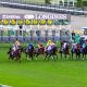 ドウデュース不在のジャパンC(G1)「日本総大将」背負う先輩ダービー馬に募る不安