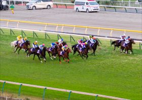 【ダイヤモンドS（G3）展望】36年ぶり牝馬Vへ…サリエラが「過酷レース」に挑戦！2年前の覇者テーオーロイヤル、短距離血統ニシノレヴナントら強敵が相手