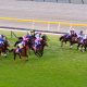 JRA迷走サリオス「激変」に3つの伏線!? D.レーン「ベストの競馬が出来た」…連敗続きの実力馬はなぜ復活したのか