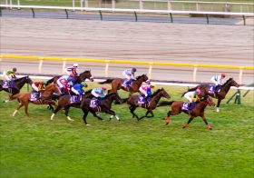 JRAきさらぎ賞（G3）「お騒がせ騎手」と「秘密兵器」の融合で穴馬急浮上!? 荒れる中京だからこそ狙い目の波乱の使者とは