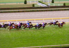 コントレイル厩舎の大物2歳「不可解」な大敗……前言を覆す使われ方に疑問の声も