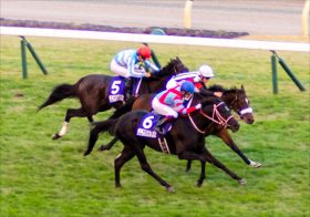 JRA「ダービー馬候補」コマンドラインはコントレイル2世となれるか!? G1馬の登竜門サウジアラビアRC（G3）、優勝馬が抱えていた共通の「不安」とは