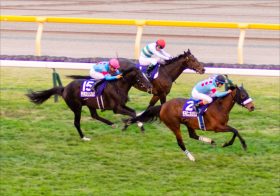 JRA大阪杯（G1）は「空前絶後」の超ハイレベル!? デアリングタクト不在も「あの馬」が参戦決定！ アーモンドアイ抜きでも史上最高「ジャパンC超え」の理由