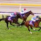 JRA レイパパレ大阪杯(G1)出走で「打倒コントレイル」に拍車!? ノーザンファーム系一口クラブが揃ってエース級を送り出す「真意」