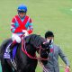 大阪杯(G1)武豊「騎乗馬なく寂しい」から緊急参戦の違和感!? 元JRA藤田伸二氏は意味深発言……、C.ルメール突然の「行方不明」にも関係か
