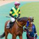 JRA高松宮記念(G1)ダノンスマッシュ、レシステンシアら通信簿。血統・実績・距離・コース適性・鞍上・状態など、最高評価はどの馬か?