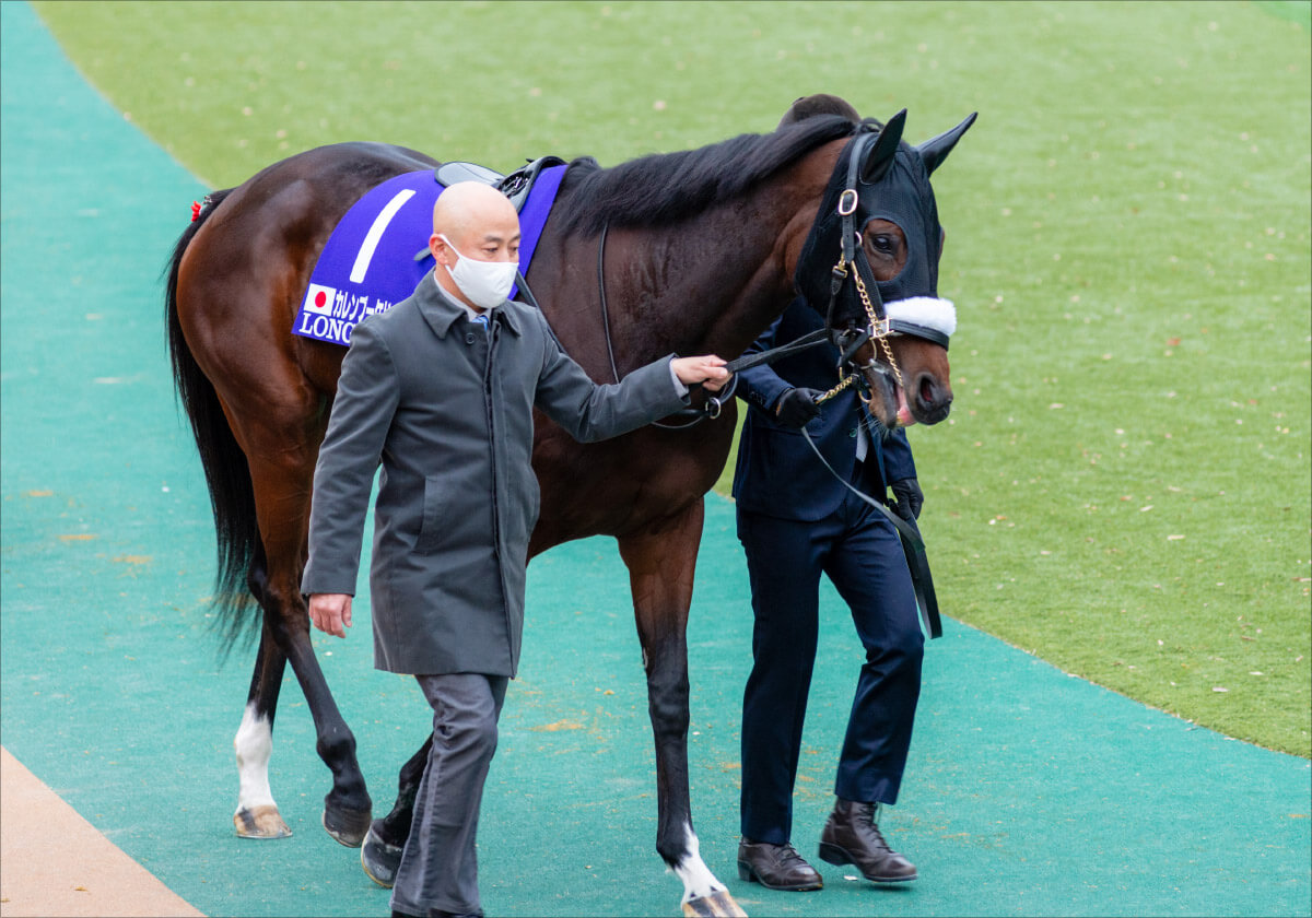 JRA 宝塚記念(G1)レイパパレ「取捨選択」の鍵はモズベッロ!? 頭鉄板「◎」クロノジェネシスから三連単「1点勝負」で的中を狙う! の画像3