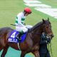 JRA角居勝彦厩舎「通算800勝」記録樹立に暗雲!? 年明けから「未勝利」であと8勝が遠い……