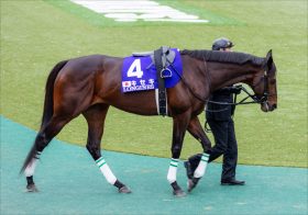 有馬記念（G1）キセキのスタートを細江純子さんが「大予言」。バビット単騎逃げを阻むレース展開の「鍵」を握る“暴れん坊”にある予感が……