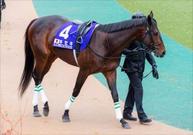 JRAキセキが敗戦の中で見せた「復活」への光明!? クイーンエリザベス2世C（G1）デアリングタクト、ラヴズオンリーユーに挑戦状