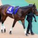 【速報】有馬記念(G1)枠順リアルタイム更新! クロノジェネシス、フィエールマン、カレンブーケドールの枠は!?