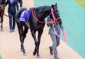 JRA大阪杯（G1）コントレイルは「早熟」苦戦必至!? ディープインパクト産駒と、ノースヒルズ所属馬の意外な傾向とは