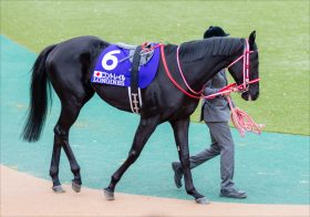 JRAの「超高速馬場」演出で大阪杯（G1）は3強対決で盤石!? コントレイル、グランアレグリア、サリオスの「レコード伝説」