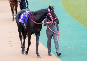 JRA 春の嵐は空気を読まない!? 大阪杯（G1）コントレイル、グランアレグリア「二強対決」に不穏な予兆…… 最強馬決定戦を襲う天の配剤