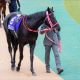 JRA「走ります。楽しみな馬です」福永祐一“大絶賛”の3歳馬が大変身!? かつての「重賞1番人気馬」がトンネル脱出したワケ