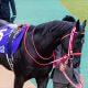 JRA 福永祐一が挙げた「道悪以外」の敗因とは。大阪杯(G1)コントレイル、グランアレグリア、サリオスら3強が4角ズラッと2番手横並びも3、4、5着……