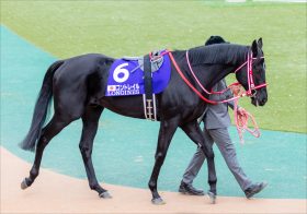 JRA「二極化」進む三冠馬世代の宿命!? 東京新聞杯（G3）トリプルエース、サトノインプレッサ轟沈から見えて来る買える馬、買えない馬の条件
