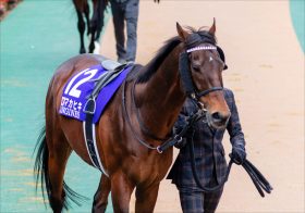 JRA マカヒキとワグネリアンの次走が明らかに。「いつまで走るんだ？」近走低迷のダービー馬2頭がそれでも現役生活を続ける理由とは