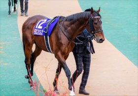 ファンに愛されたマカヒキがついに引退、残された最強世代最後の1頭に熱視線