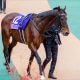 JRA「覚醒」岩田望来が川田将雅、C.ルメールを猛追!?「連敗地獄」から抜け出した若武者が調教師大絶賛の“神騎乗”で1日4勝大爆発!
