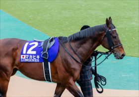 JRAマカヒキは「何故」復活できたのか。京都大賞典（G2）直前「若い馬にも負けてない」諦めなかった陣営の信念