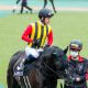 大器エスコーラ「苦戦」も4連勝でオープン入り! 福永祐一「ポテンシャルとスケールを感じる」気になる次走は…