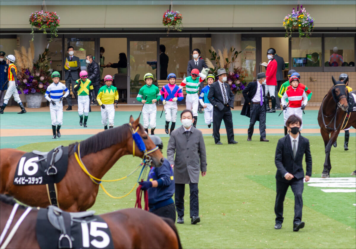 トウカイテイオー　有馬記念優勝パネル トウカイテイオー 有馬記念優勝パネル