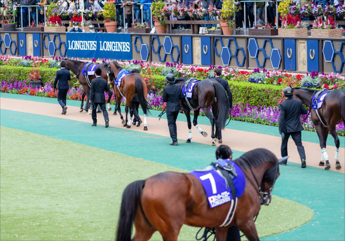 東京競馬場