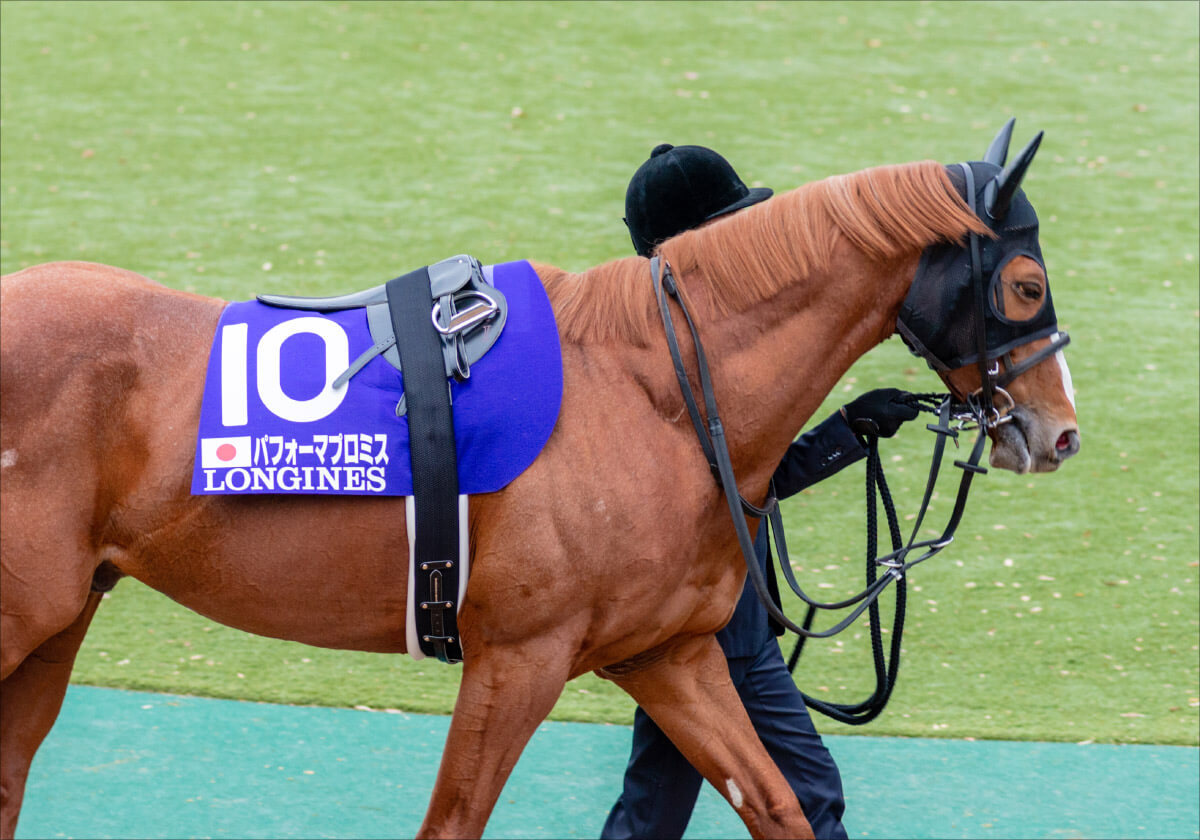 JRAダイヤモンドS（G3）単勝「325.5倍」奇跡は再び起こるのか……オーソリティではない「◎」最低人気ミライヘノツバサとの共通点の画像3