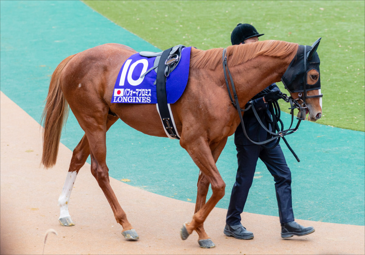 ショップ 2400m 競馬 レコード