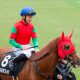 JRA柴田大知が大ピンチ!? デビュー2年目騎手が約5年未勝利馬に一発回答! 総帥亡きあとの「マイネル軍団」主戦争奪戦が激化