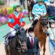 JRA武豊「素質はありそう」期待の良血馬がデビュー戦完勝! 奥村調教師「思ったより切れた」セレクトセール1億1500万円落札の大器がクラシックへ名乗り