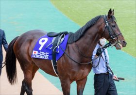 JRA「芝コース未勝利」騎手が、田辺裕信「落馬負傷」で急遽抜擢！ 単勝人気「大暴落」尻目に“得意”の代打でホームラン！