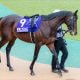 JRA「超VIP待遇」横山武史に見る外国人ジョッキー崇拝主義の幻影。絶対王者ノーザンファーム「急接近」も春G1開幕前の今が大事な理由