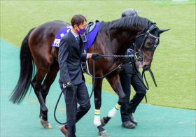 日経賞（G2）武豊→石橋脩「弱小世代」ワールドプレミアは菊花賞馬の意地を見せ、主役となって天皇賞・春（G1）へ向かえるのか？