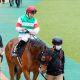 【セントライト記念(G2)予想】台風接近でレースも嵐の予感!アスクビクターモアは押さえまで止むなし、重馬場適性の高い馬の一発に期待
