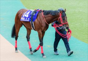 JRA「秋の沸騰ワード」ヨシオが暮れの大一番に参戦決定！ ジャパンCを“調教代わり”に「史上初」の挑戦から1か月。2020年の締めにも華を添える
