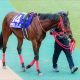 JRA有馬記念(G1)“立場逆転”で「池添ロス」が発生!? ラスト1枠がまさかの「鞍上未定」で、無念の降板ジョッキー、調教師転身のアノ人の可能性は……