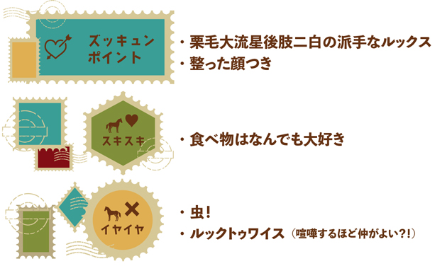 \'11 京都新聞杯を制した個性派は、カッコイイとカワイイを併せ持つ派手顔×高身長イケメンに!|クレスコグランドの画像1