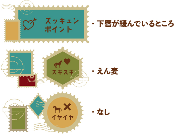 07 東海Sを制したダート重賞の常連は、21歳でも精神年齢はまだまだ若者!?｜メイショウトウコンの画像5