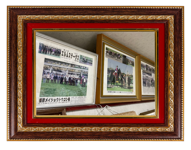 07 東海Sを制したダート重賞の常連は、21歳でも精神年齢はまだまだ若者!?|メイショウトウコンの画像8