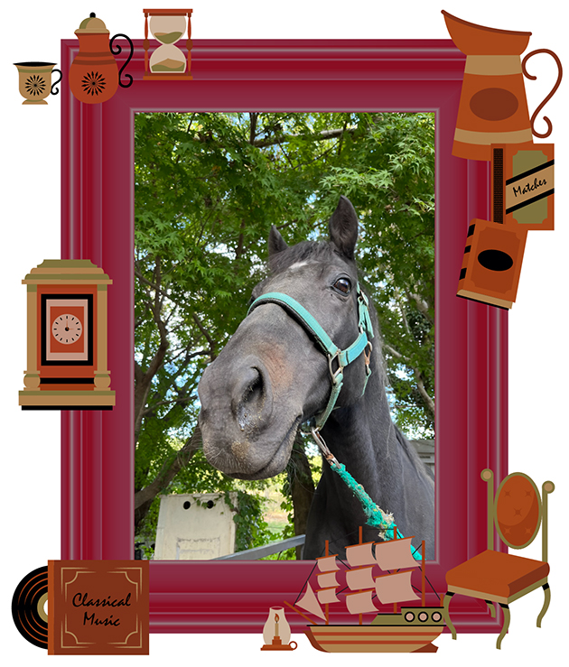 15 チャレンジCを制した「おがわじゅり」さんのイラストでお馴染の人気者は、人懐っこさ全開の、かまってちゃんに!|フルーキーの画像3