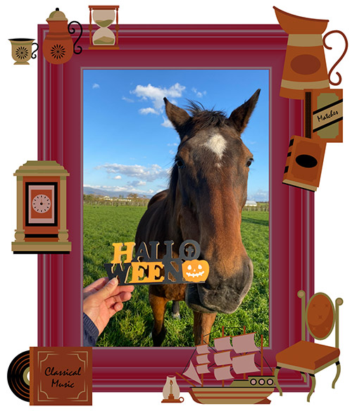 9899 エリザベス女王杯を連覇した「メジロ」の血を継ぐ歴史的名牝は、リードホースとして仔馬を導く、頼れるお姉さんに！｜メジロドーベルの画像3