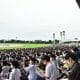 【引退馬に会いに行く】凱旋門賞2着馬ナカヤマフェスタ、砂の老兵ワンダーアキュートなど、往年の名馬に会える街