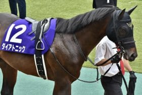 【阪神C（G2）展望】7Fの“鬼”ダイアトニックVS前年覇者グレナディアガーズ