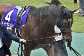 「嫌な記憶が残っているのか」川田将雅が指摘した中山のトラウマ。ダノンザキッドが父と同じ道を歩むために必要なこと